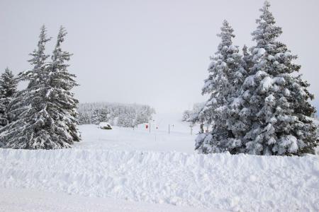 Residentie op skivakantie Résidence la Grive