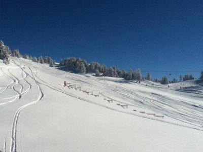 Location au ski Studio cabine 4 personnes (107) - Résidence le Chamois - Chamrousse - Extérieur hiver