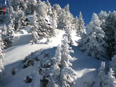 Location au ski Studio cabine 4 personnes (107) - Résidence le Chamois - Chamrousse - Extérieur hiver