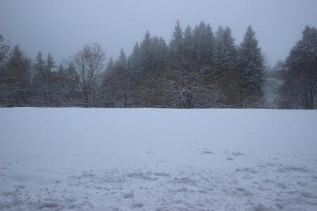 Vacances en montagne Studio coin montagne 4 personnes (0008) - Résidence le Vernon - Chamrousse - Extérieur hiver