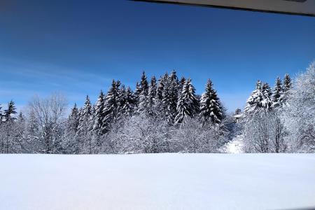 Аренда на лыжном курорте Квартира студия со спальней для 4 чел. (0008) - Résidence le Vernon - Chamrousse - зимой под открытым небом