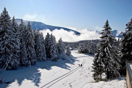 Location au ski Studio coin montagne 4 personnes (0829) - Résidence le Vernon - Chamrousse - Extérieur hiver