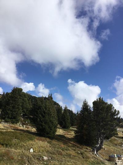 Vacaciones en montaña Estudio para 4 personas (415) - Résidence les Carlines - Chamrousse - Invierno