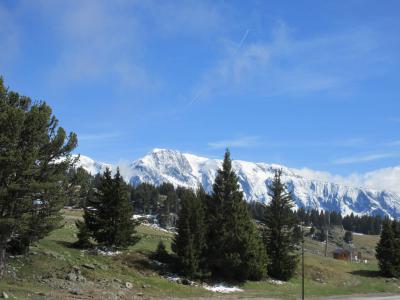 Alquiler al esquí Estudio para 4 personas (415) - Résidence les Carlines - Chamrousse