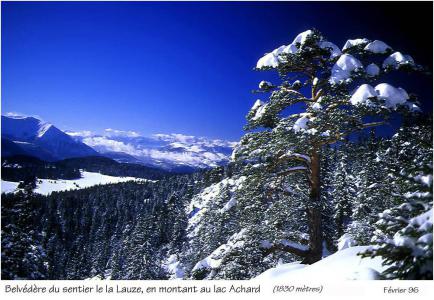 Alquiler al esquí Estudio para 4 personas (415) - Résidence les Carlines - Chamrousse - Invierno