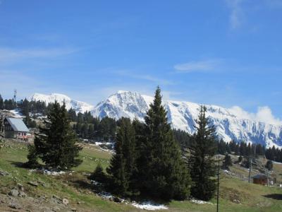 Alquiler al esquí Estudio para 4 personas (413) - Résidence les Carlines - Chamrousse