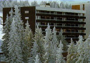 Location au ski Résidence les Carlines - Chamrousse - Extérieur hiver