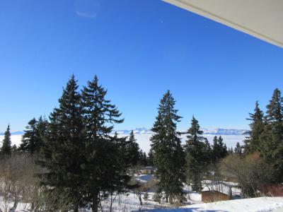 Rent in ski resort 2 room apartment cabin 6 people (031) - Résidence les Marmottes - Chamrousse