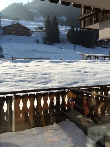 Appartement 2 pièces coin montagne 4 personnes (PNG007B)