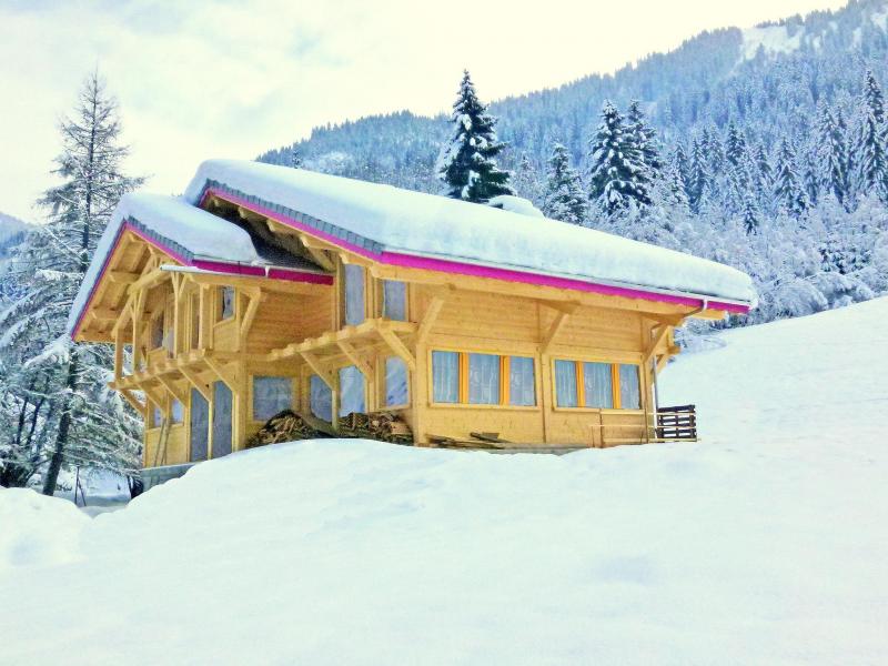 Vacanze in montagna Chalet Châtel CPN01 - Châtel - Esteriore inverno