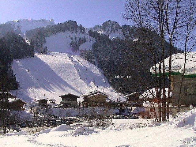Location au ski Appartement 2 pièces coin montagne 5 personnes (8A) - Chalet du Perthuis - Châtel - Extérieur hiver