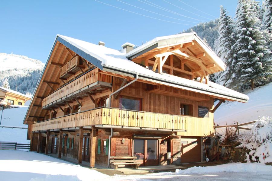 Skiverleih 5-Zimmer-Appartment für 13 Personen (Logement 13 personnes) - Chalet LA FERME DU CREUX DU NANT - Châtel - Draußen im Winter