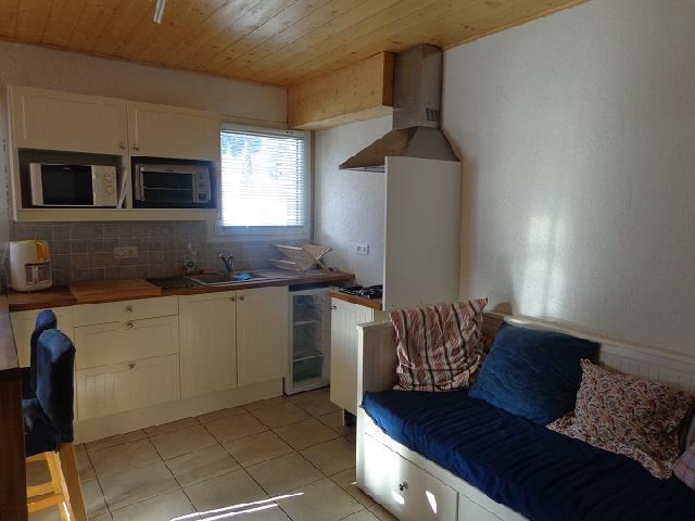 Alquiler al esquí Estudio para 3 personas - Chalet les Bouquetins - Châtel - Kitchenette