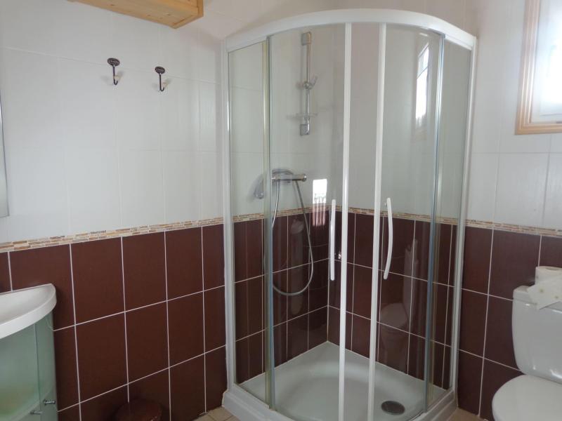 Rent in ski resort Studio 3 people - Chalet les Bouquetins - Châtel - Shower room