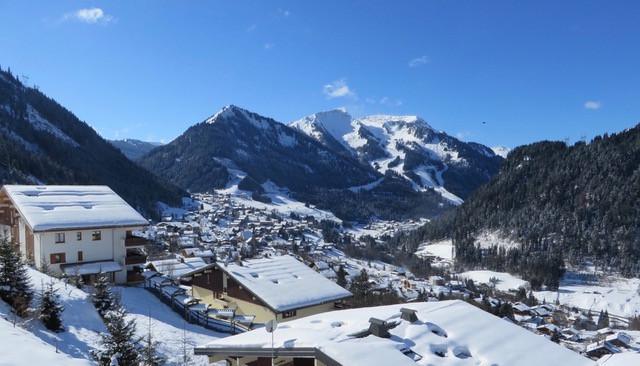 Location au ski Appartement 3 pièces 6 personnes (F5) - La Résidence l'Alpage - Châtel - Extérieur hiver