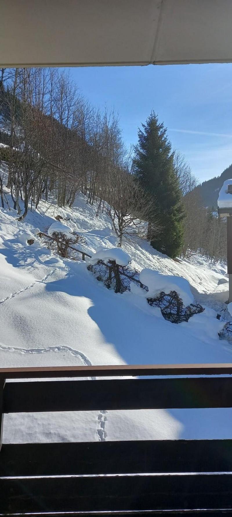 Location au ski Studio 3 personnes (10) - Résidence Croix de Savoie - Châtel