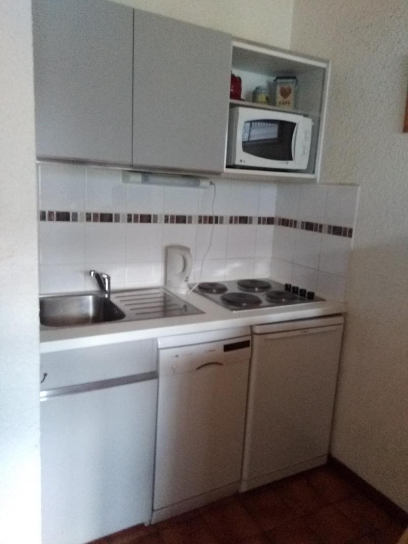 Location au ski Appartement 2 pièces coin montagne 5 personnes (124C) - Résidence Hameau des Quatre Saisons - Châtel - Kitchenette