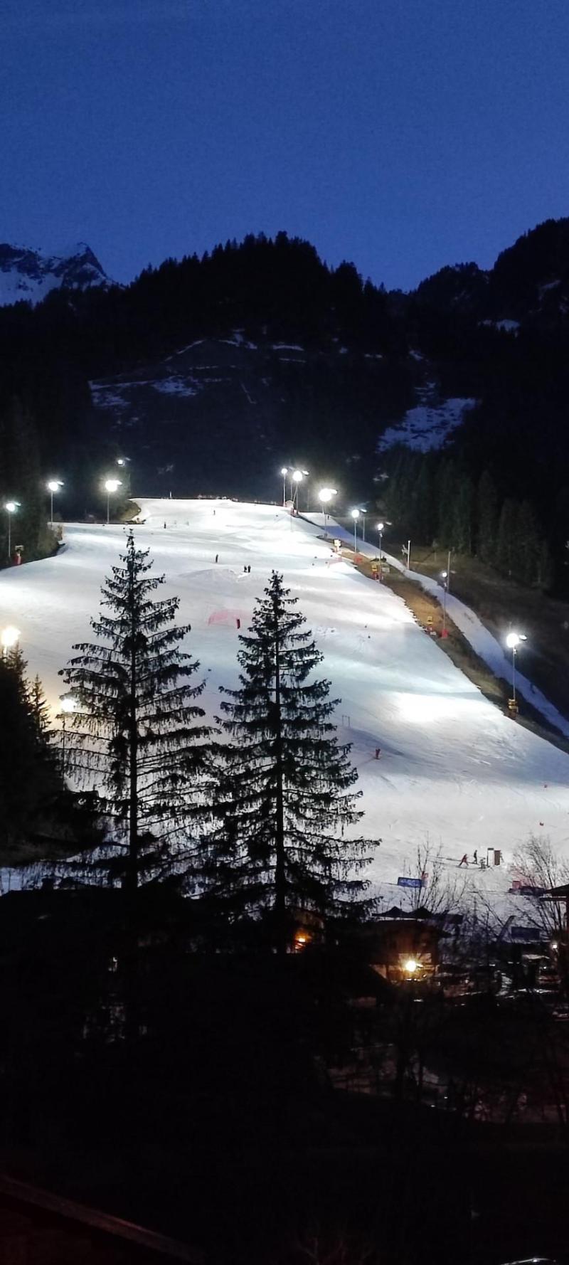 Alquiler al esquí Estudio -espacio montaña- para 3 personas (180) - Résidence le Moulin - Châtel