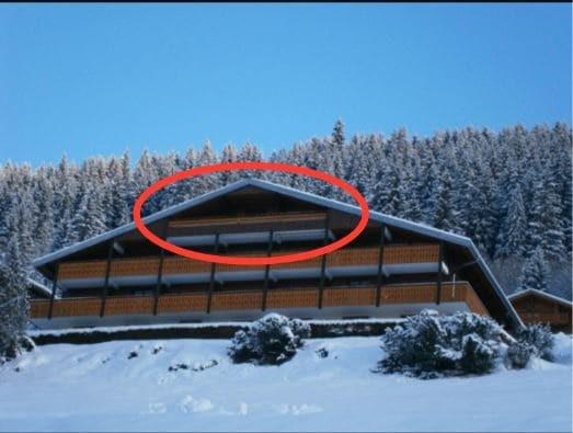 Аренда на лыжном курорте Апартаменты 3 комнат 6 чел. (020) - Résidence le Soleil d'Hiver - Châtel - зимой под открытым небом