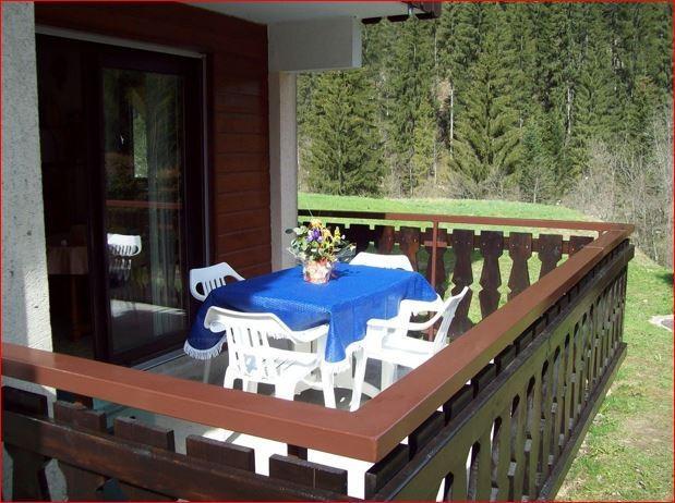 Ski verhuur Appartement 2 kamers bergnis 4 personen (PNG009D) - Résidence Perce Neige - Châtel - Terras