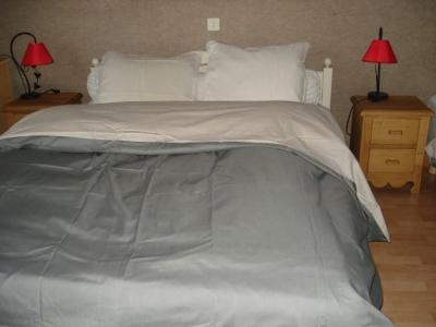Rent in ski resort 2 room apartment 5 people - Chalet Bel Horizon - Châtel - Bedroom