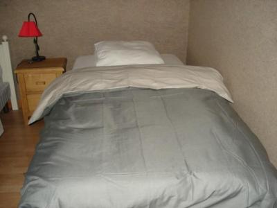 Rent in ski resort 2 room apartment 5 people - Chalet Bel Horizon - Châtel - Double bed
