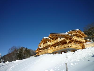 Holiday in mountain resort 7 room triplex chalet 15 people (Logement 15 personnes) - Chalet Etagne - Châtel - Winter outside