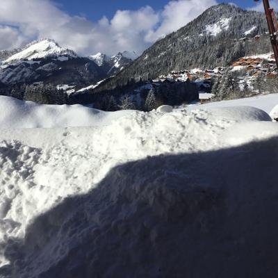 Forfait de ski Chalet FLEURS DES CHAMPS