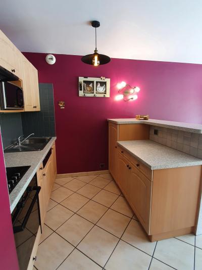 Alquiler al esquí Apartamento 4 piezas para 5 personas - Chalet la Boule de Neige - Châtel - Cocina