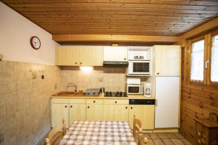 Alquiler al esquí Apartamento 3 piezas para 6 personas - Chalet le COLIBRI - Châtel - Kitchenette