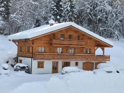Holiday in mountain resort 9 room chalet 15 people - Chalet le Refuge - Châtel - Winter outside