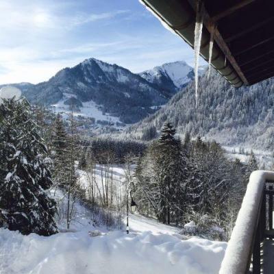 Vacanze in montagna Studio con alcova per 4 persone - Chalet le Tétras Lyre - Châtel - Esteriore inverno