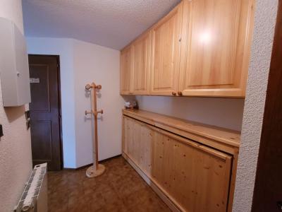 Skiverleih 2-Zimmer-Appartment für 4 Personen (E3) - La Résidence l'Alpage - Châtel - Diele