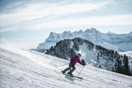 Soggiorno sugli sci Appartamento 2 stanze per 4 persone (E3) - La Résidence l'Alpage - Châtel