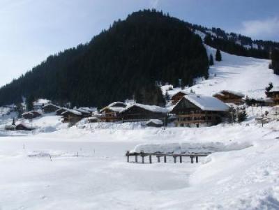 Location au ski Appartement 2 pièces coin montagne 6 personnes (099) - Résidence Alpenlake - Châtel - Extérieur hiver