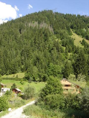 Location au ski Appartement 2 pièces coin montagne 6 personnes (099) - Résidence Alpenlake - Châtel