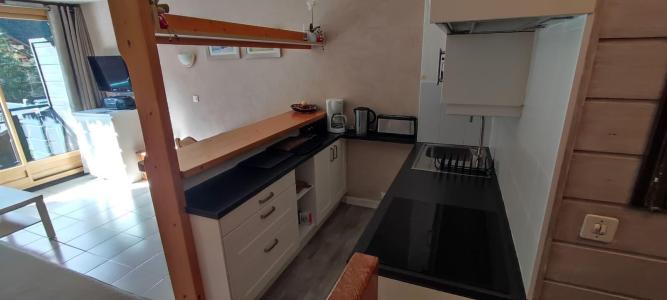 Location au ski Studio coin montagne 3 personnes (180) - Résidence le Moulin - Châtel