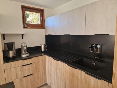 Location au ski Appartement 2 pièces 5 personnes (1) - Résidence le Solarium - Châtel - Cuisine