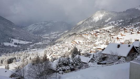 Alquiler al esquí Estudio para 4 personas (11) - Résidence les Trifles - Châtel