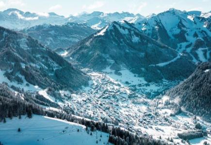 Alquiler al esquí Estudio para 3 personas (8) - Résidence les TYROLIENS - Châtel - Invierno
