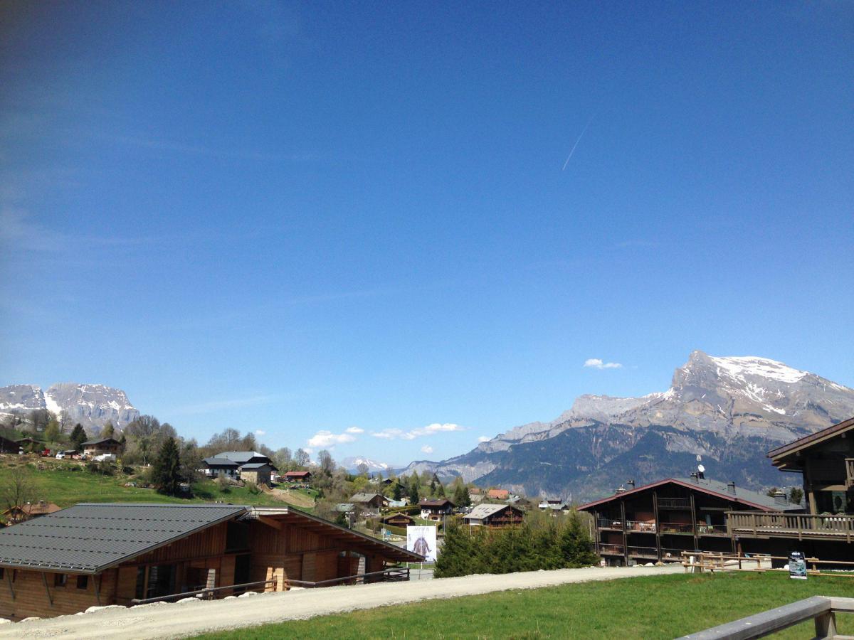 Chalet 1 pièces mezzanine 4 personnes (797)