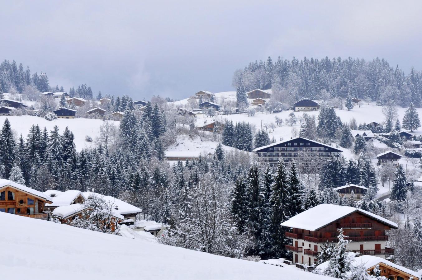 Appartement 2 pièces 4 personnes (Aravis)