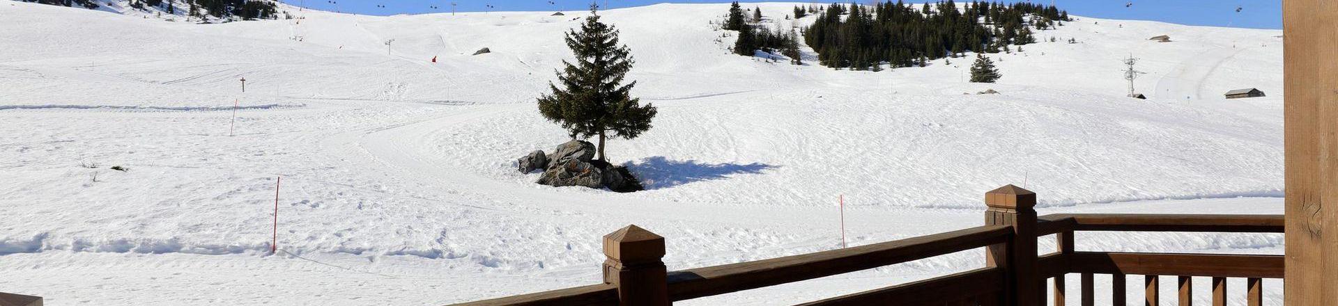 Location au ski Chalet 8 pièces 14 personnes - Chalet du Chamois - Courchevel - Extérieur hiver