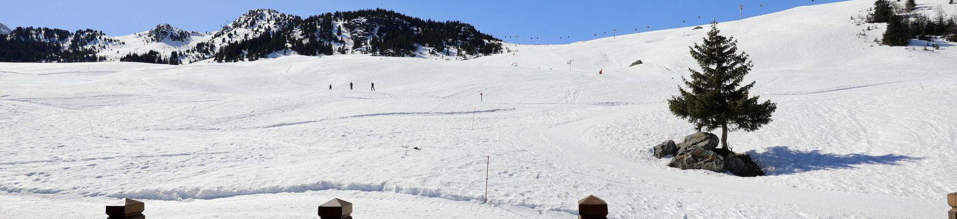 Location au ski Chalet 8 pièces 14 personnes - Chalet du Chamois - Courchevel - Extérieur hiver