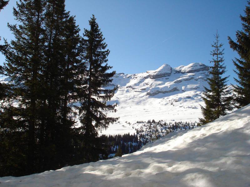 Rent in ski resort Studio 4 people (C2) - Chalet de l'Arbaron - Flaine - Winter outside