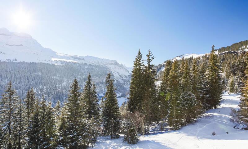 Ski verhuur Studio 4 personen (Sélection 28m²-4) - Résidence Iris - Maeva Home - Flaine - Buiten winter