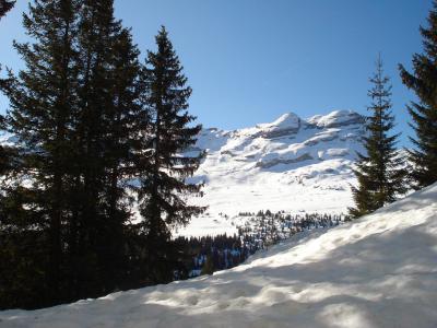 Аренда на лыжном курорте Квартира студия для 4 чел. (C2) - Chalet de l'Arbaron - Flaine - зимой под открытым небом