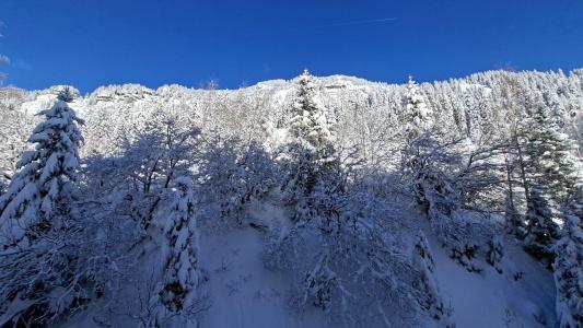 Rent in ski resort Studio 4 people (314) - La Résidence Andromède - Flaine - Winter outside