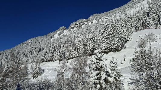 Rent in ski resort Studio 4 people (609) - La Résidence Andromède - Flaine - Winter outside