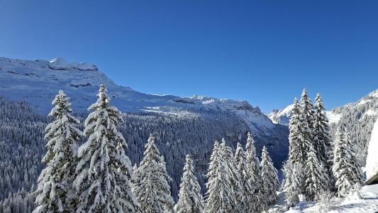 Alquiler al esquí Apartamento 2 piezas para 5 personas (439) - La Résidence Castor - Flaine - Invierno